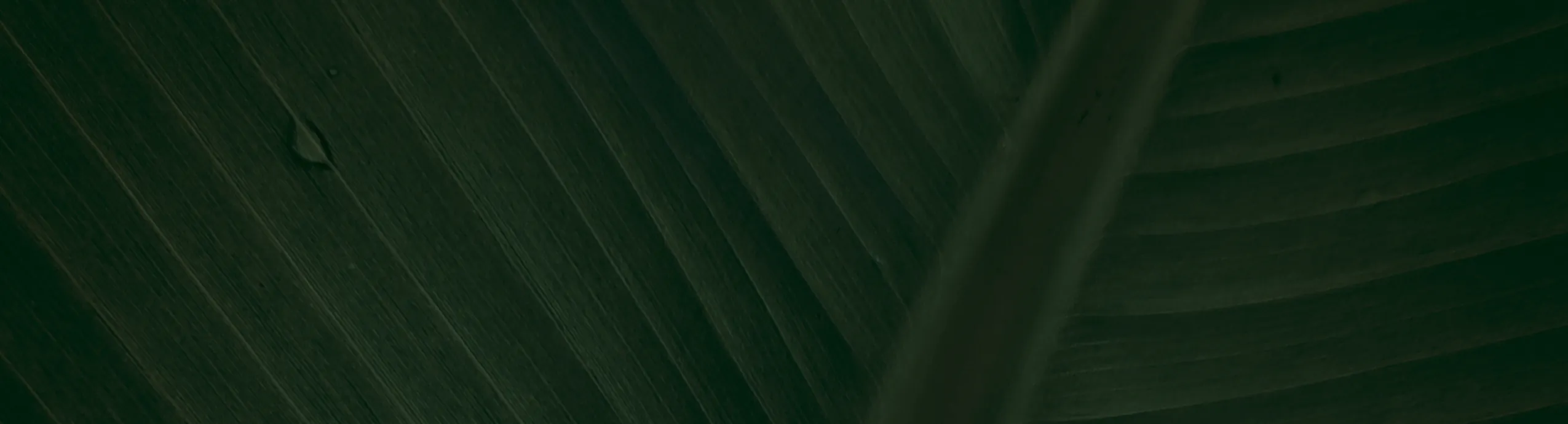 Cerave Hydrating Hyaluronic Acid Serum